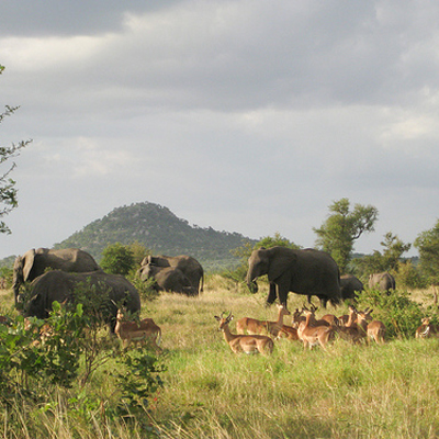 Kruger National Park